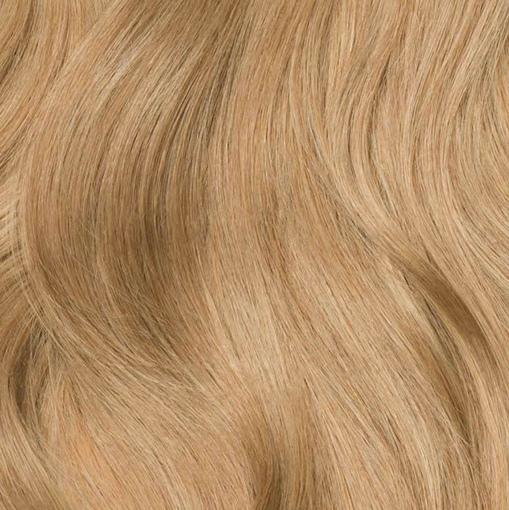 Receding Hairline - Clipfree Band