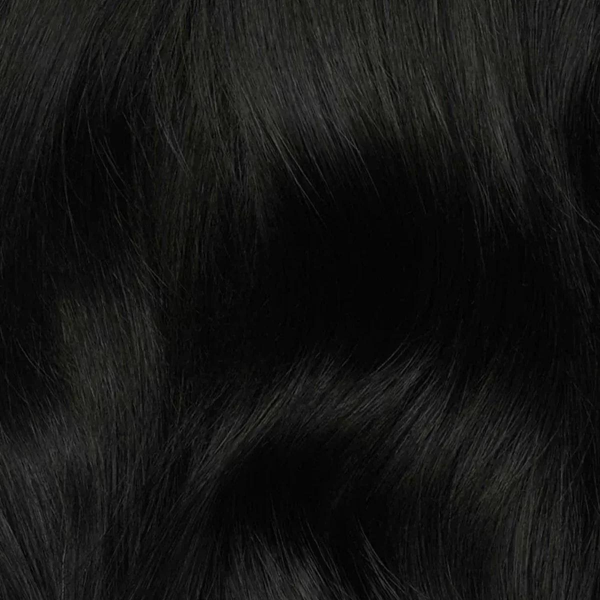 Receding Hairline - Clipfree Band
