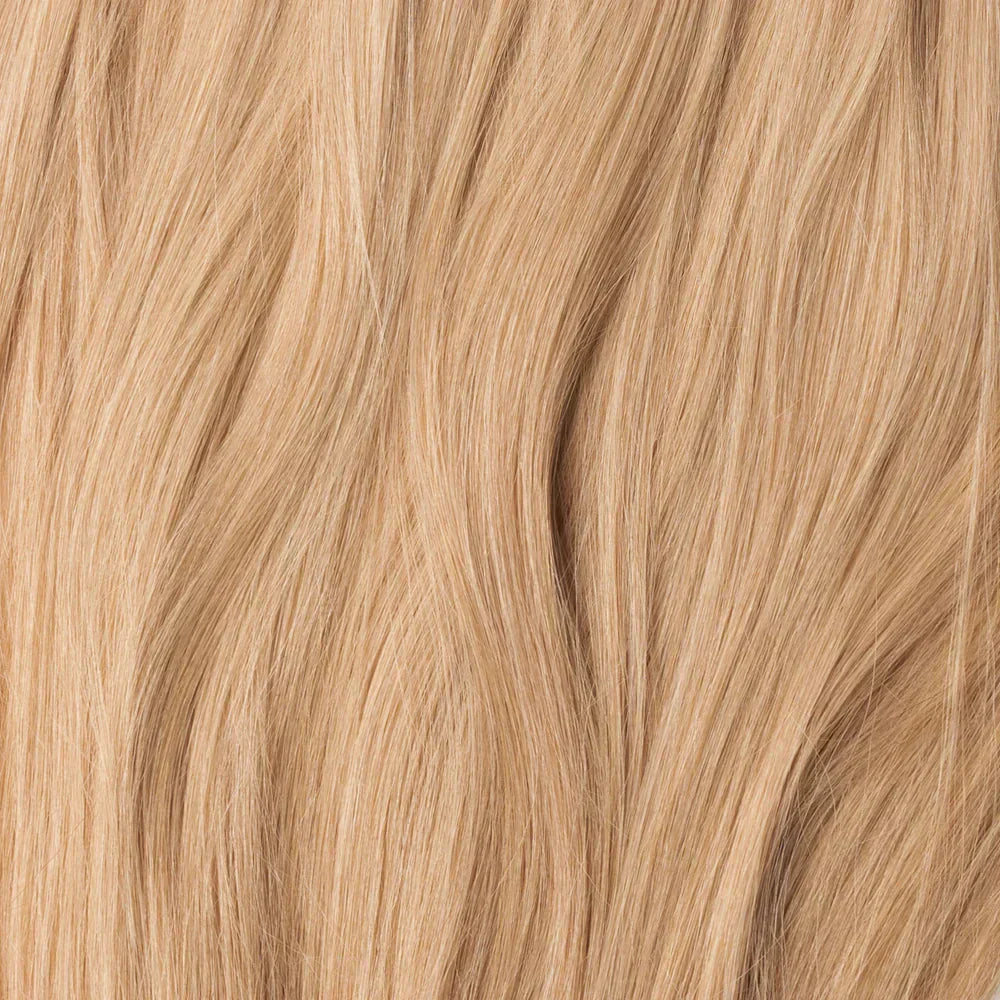 Receding Hairline - Clipfree Band